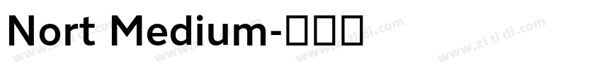 Nort Medium字体转换